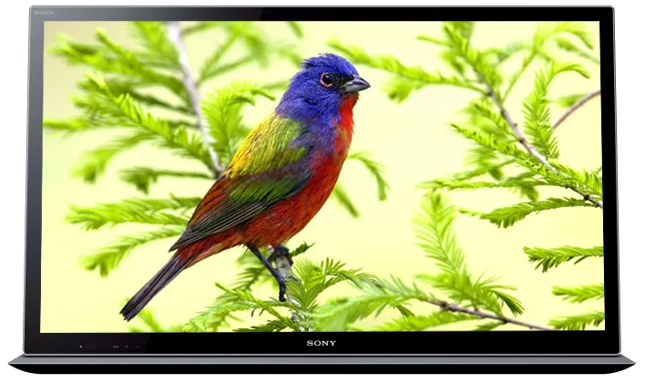 Замена корпуса Sony KDL-55HX853