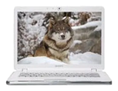 Настройка BIOS Sony VAIO VGN-AR520E/B