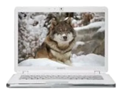 Настройка BIOS Sony VAIO VGN-CR520E