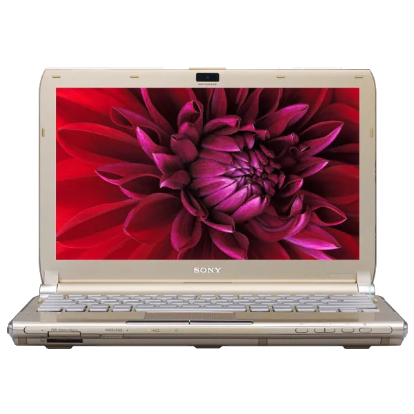 Настройка BIOS Sony VAIO VGN-TT4MRG