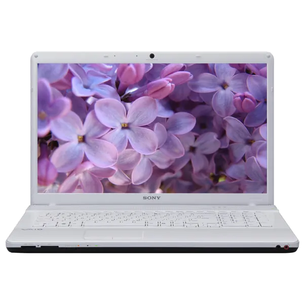 Настройка BIOS Sony VAIO VPC-EC1M1R/Wi